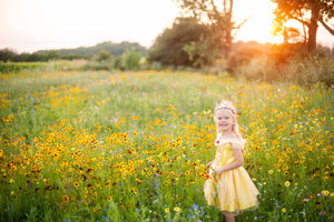 Belle Tea Party Dress