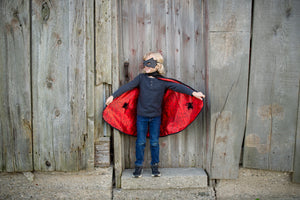 Reversible Spider Bat Cape